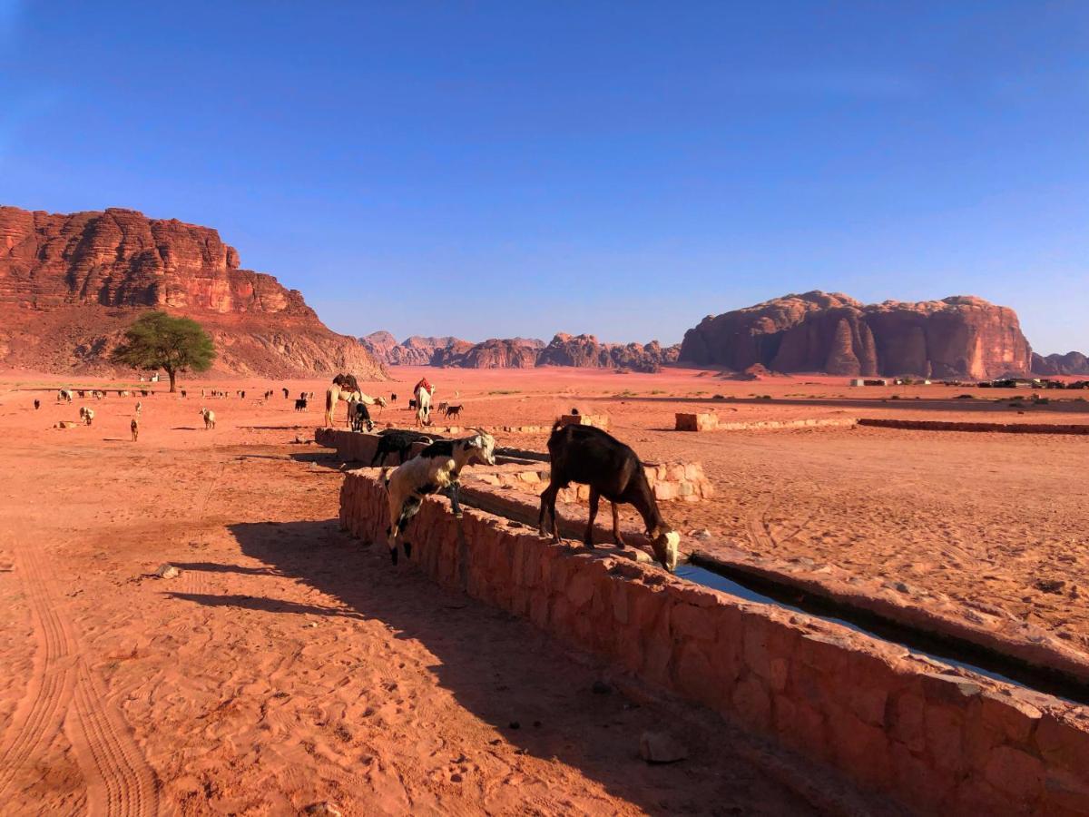 Milky Way Bedouin Camp Villa วาดิรัม ภายนอก รูปภาพ